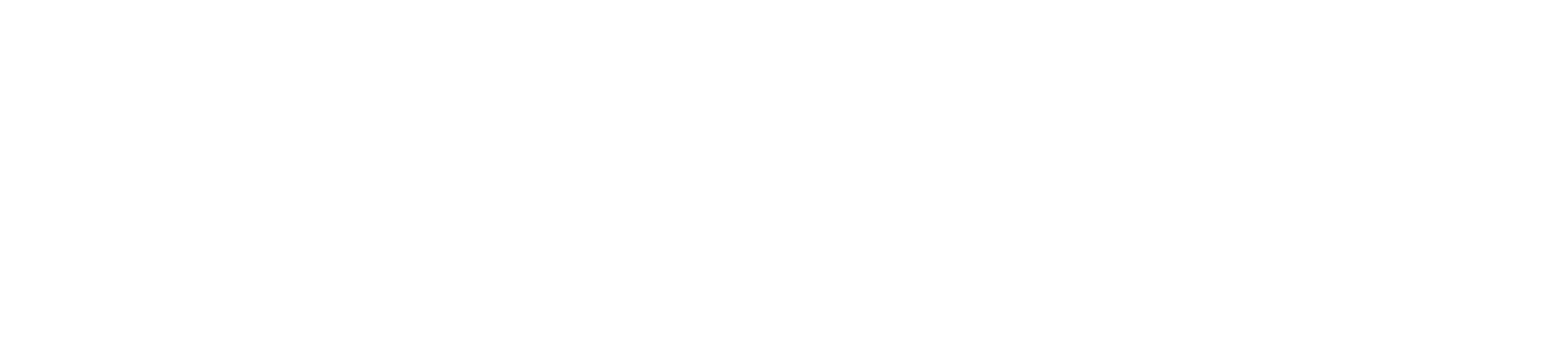 Preeco Studio